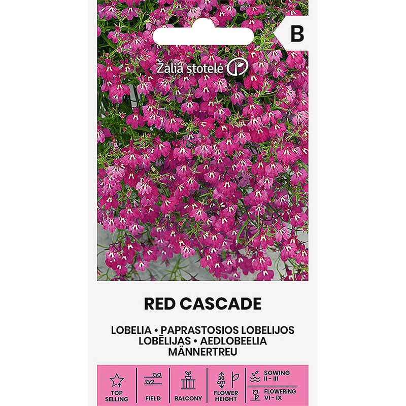 Lobelie 'Red Cascade'