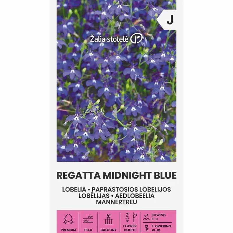 Hängende Lobelie 'Midnight blue'