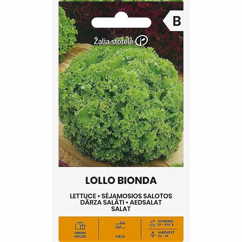 Pflücksalat 'Lollo Bionda'