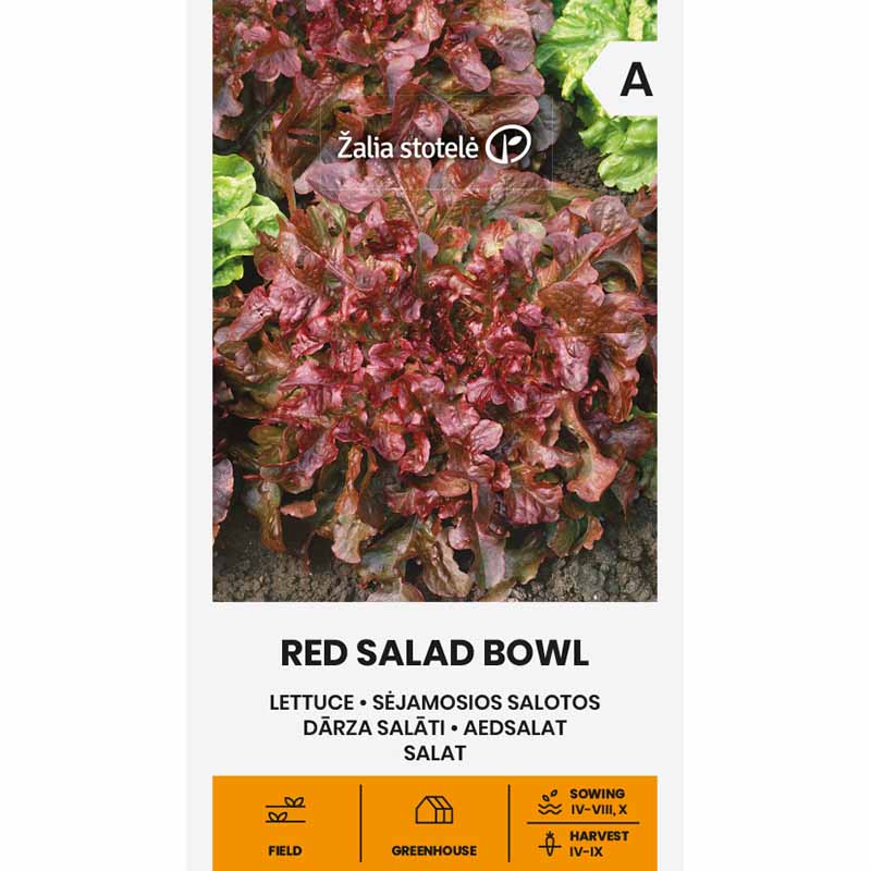 Pflücksalat 'Red Salad Bowl'
