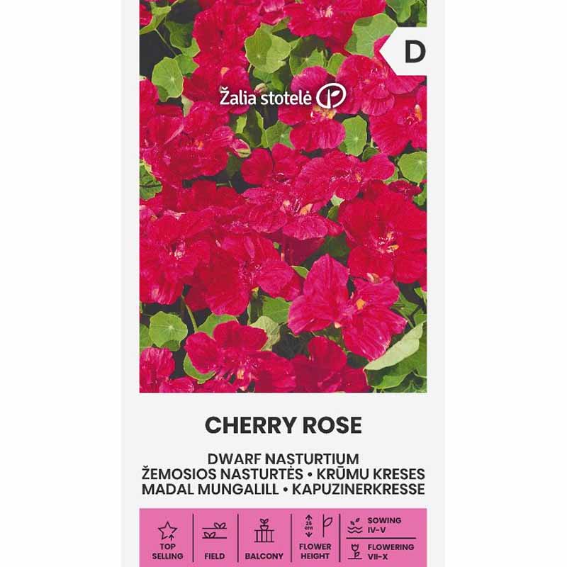 Zwerg-Kapuzinerkresse 'Cherry rose'