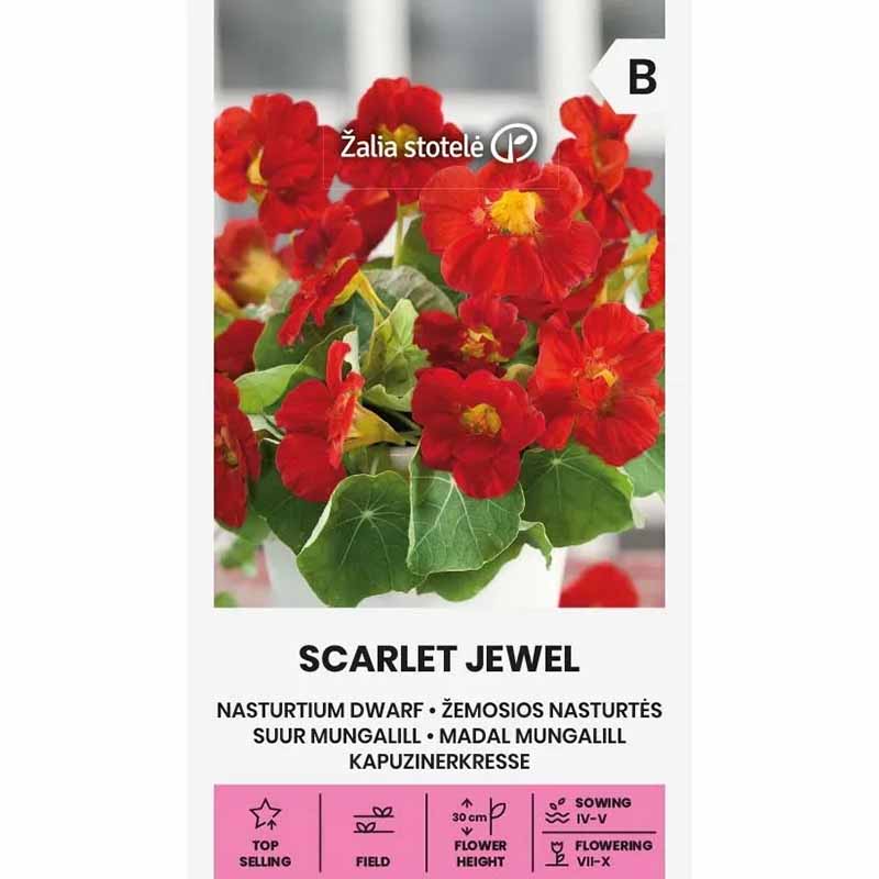 Zwergkapuzinerkresse 'Scarlet Jewel'