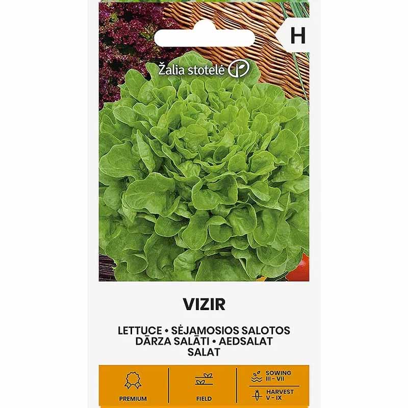 Salat 'Vizir'