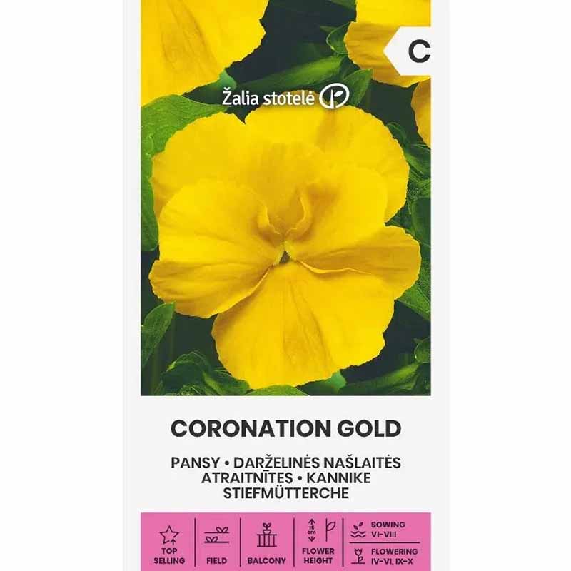 Stiefmütterchen 'Coronation gold'