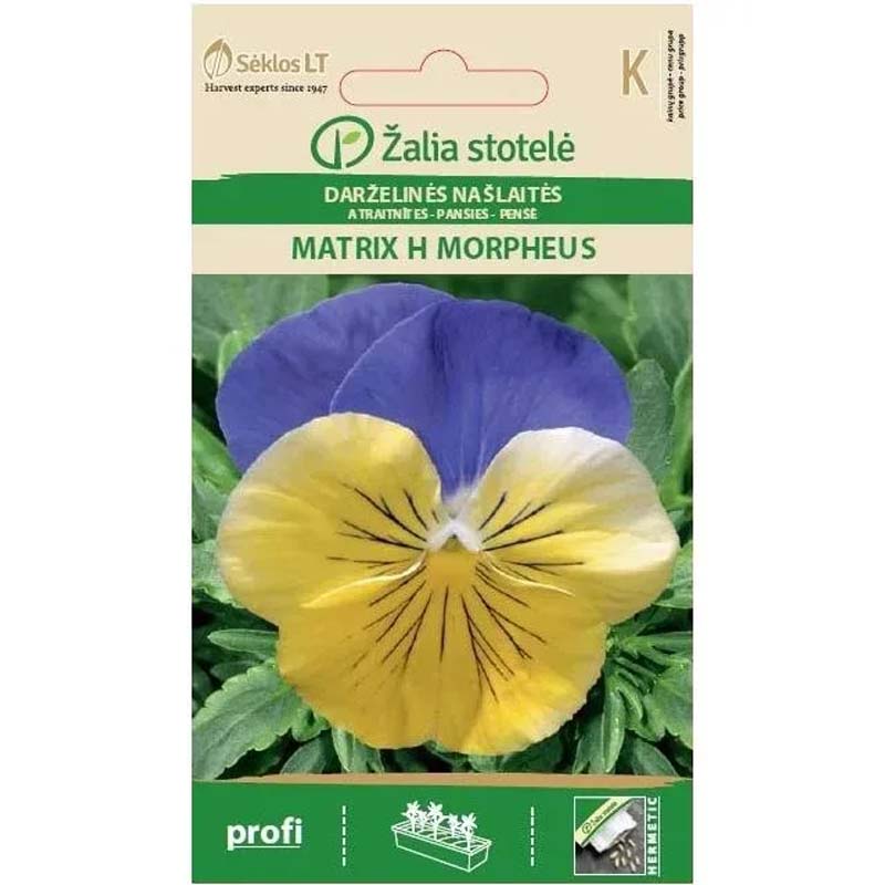 Stiefmütterchen 'Matrix H Morpheus'