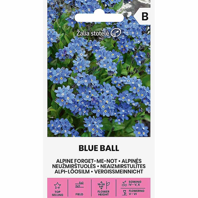 Forget -Me-Not 'Blue ball'