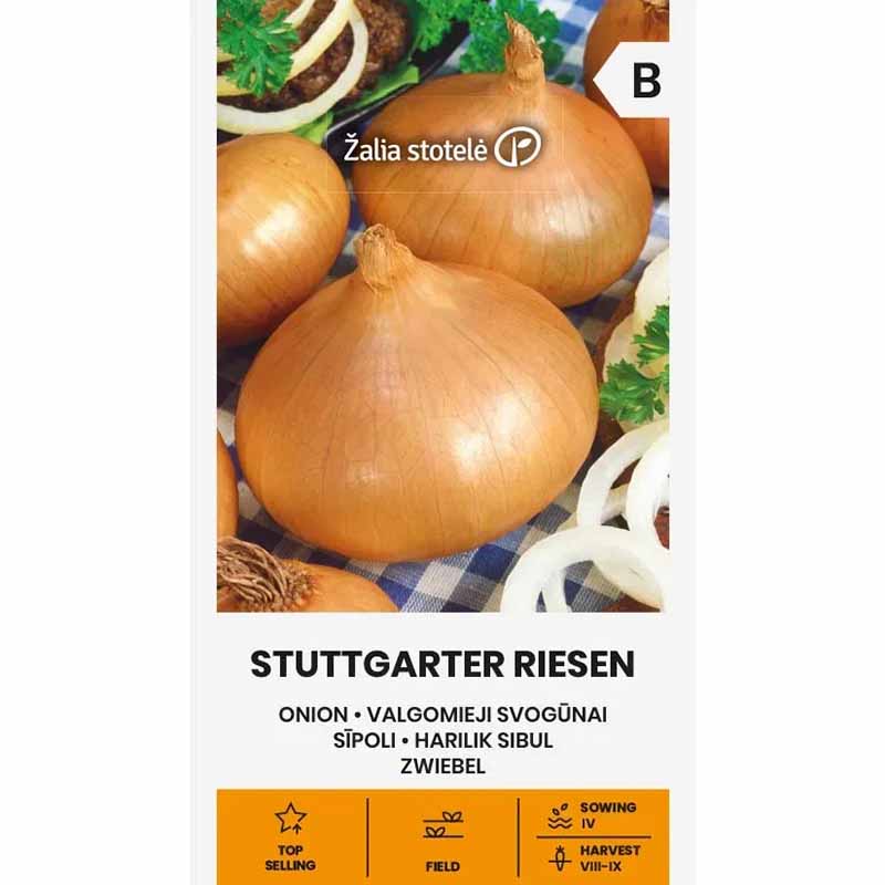 Zwiebel 'Stuttgarter riesen'