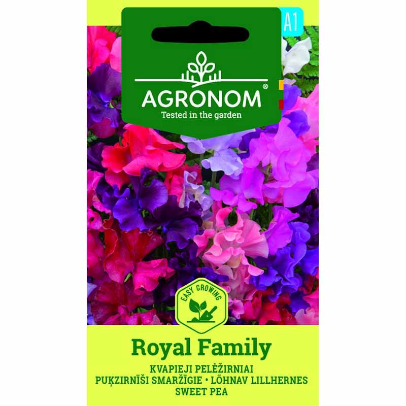 Duftwicke 'Royal Family'