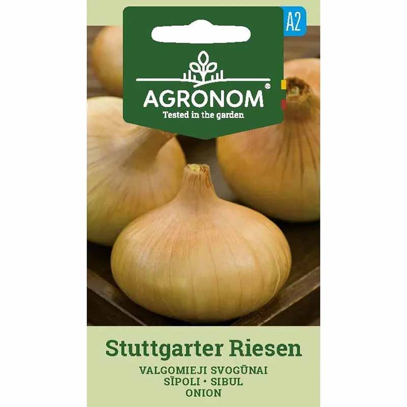 Zwiebel 'Stuttgarter Riesen'