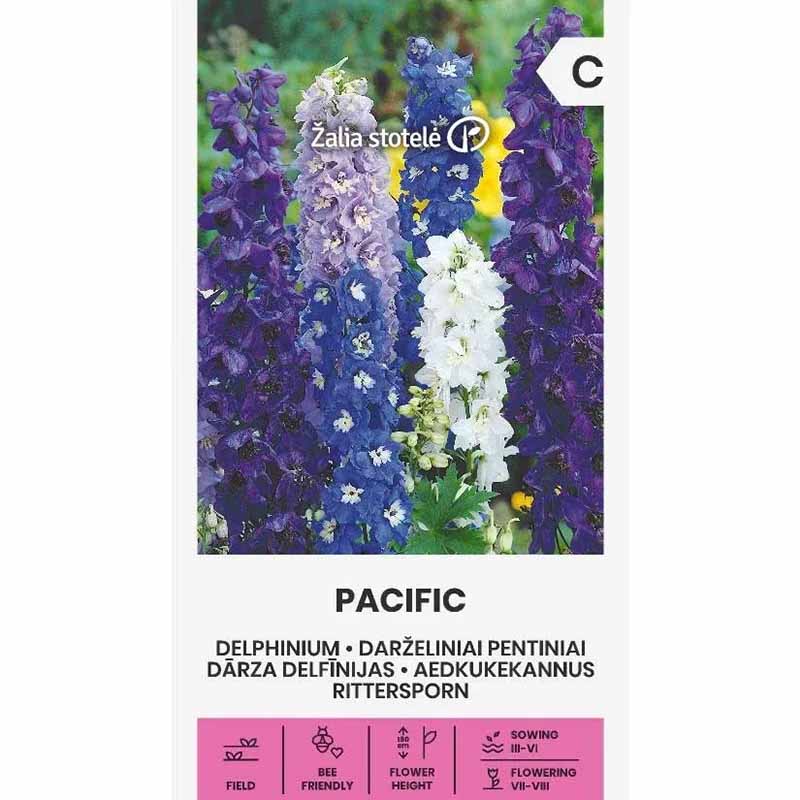 Rittersporn 'Pacific'