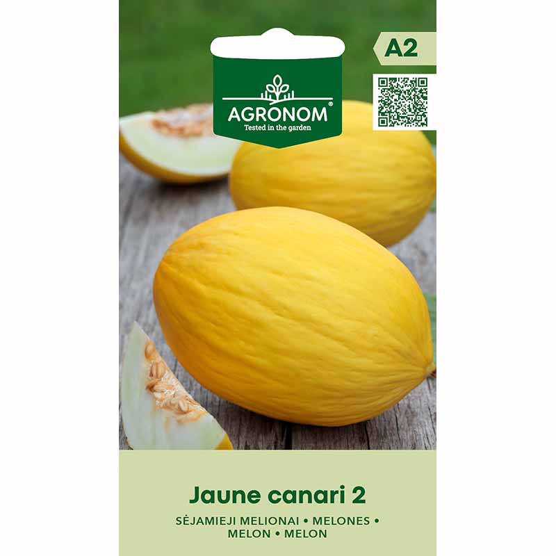 Melone 'Jaune Canari 2'