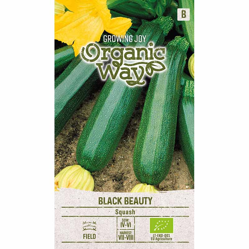Zucchini 'Black beuty'