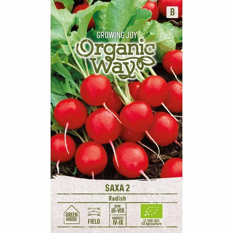 Radieschen 'Saxa 2'