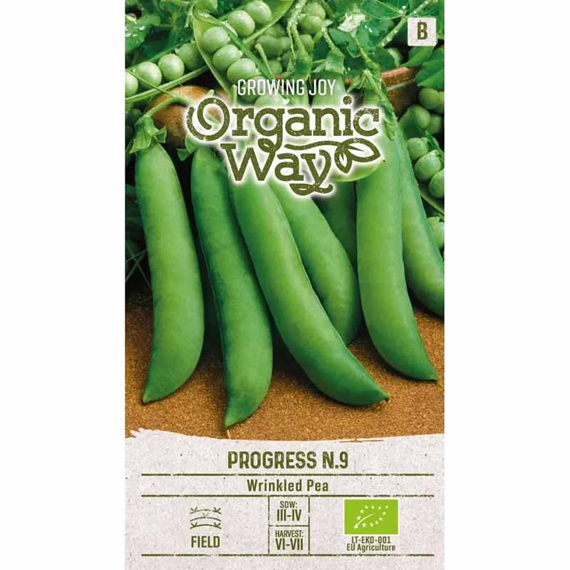 Markerbse 'Progress N.9'