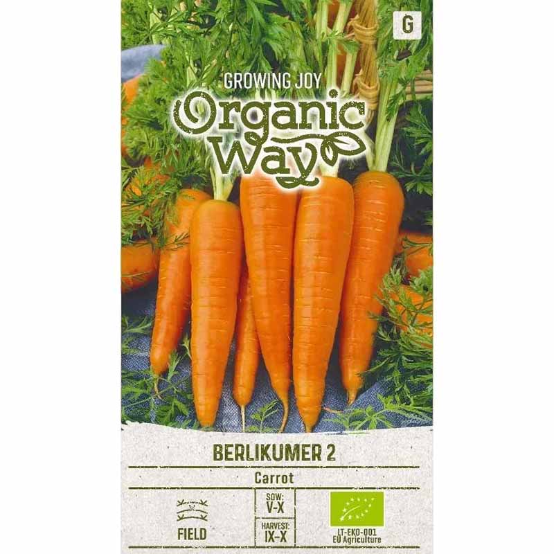 Möhre 'Berlikumer 2'