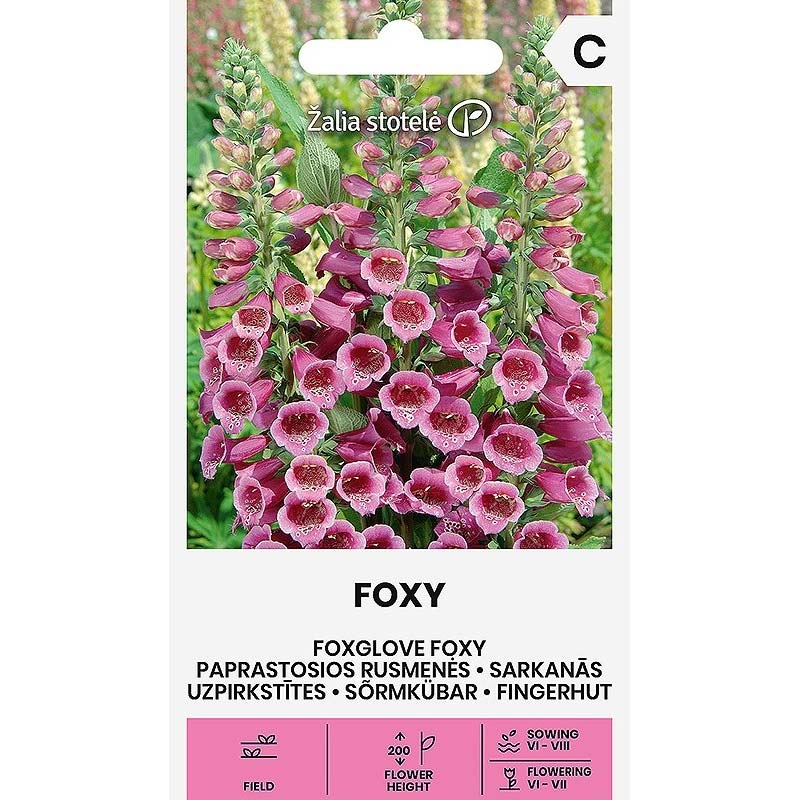 Fingerhut 'Foxy'