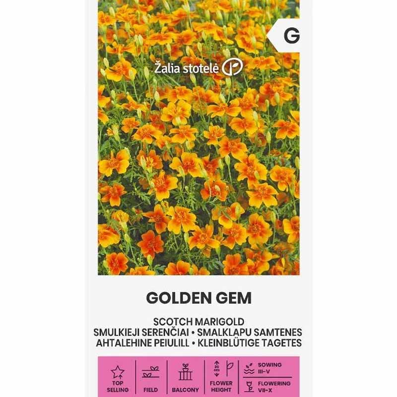 Tagetes 'Golden Gem'