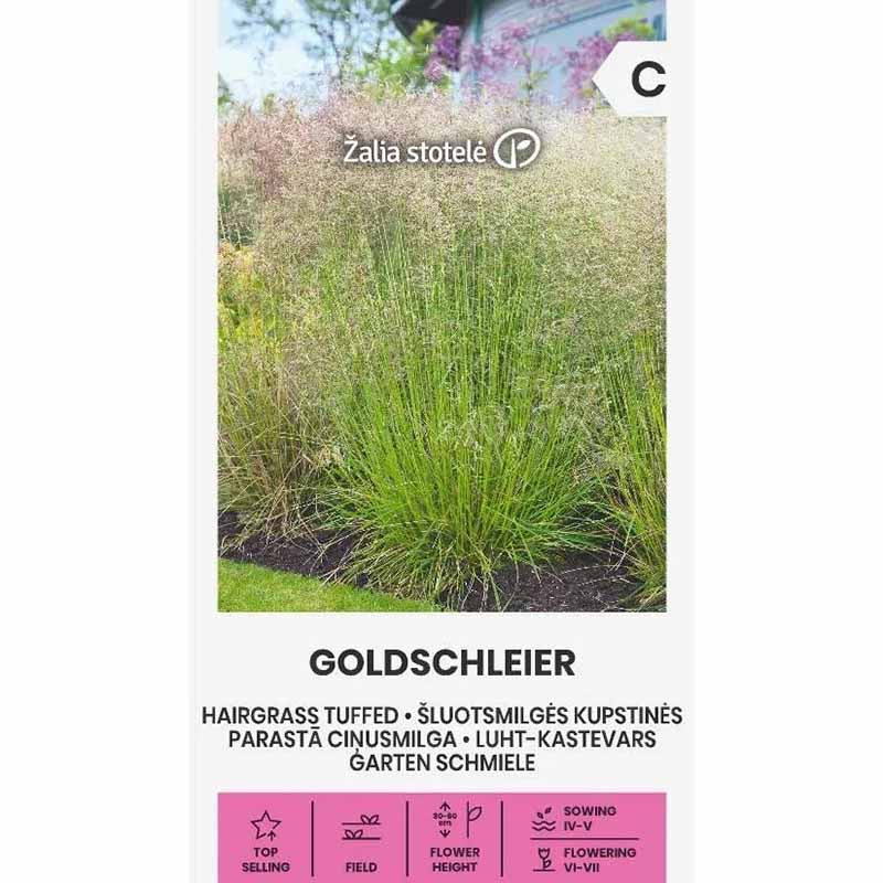 Rasen-Schmiele 'Goldschleier'