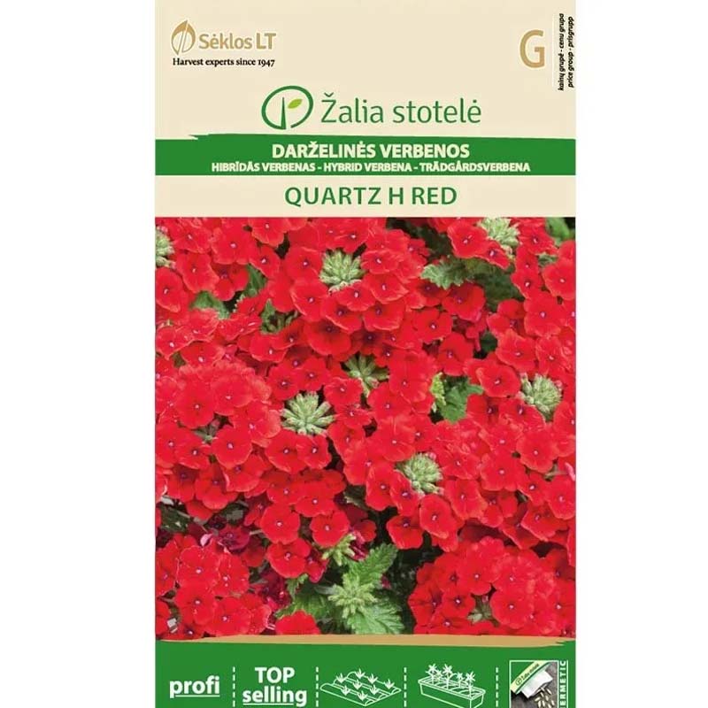 Verbene 'Quartz' F1 Rot