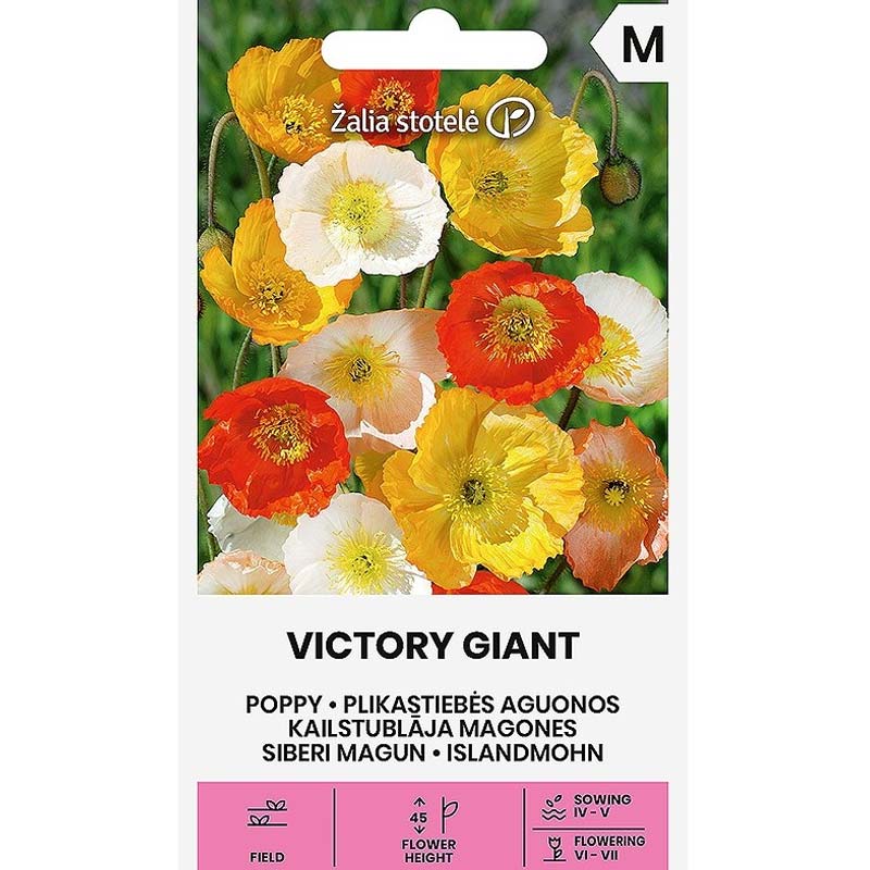 Mohn 'Victory Giant'