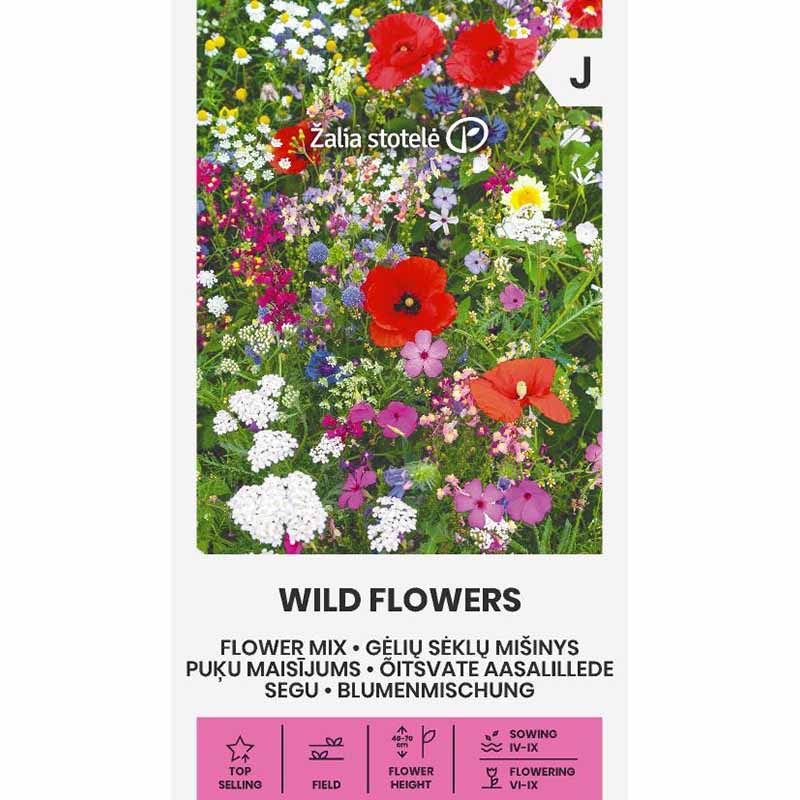 Blumenmischung 'Wild Flowers'