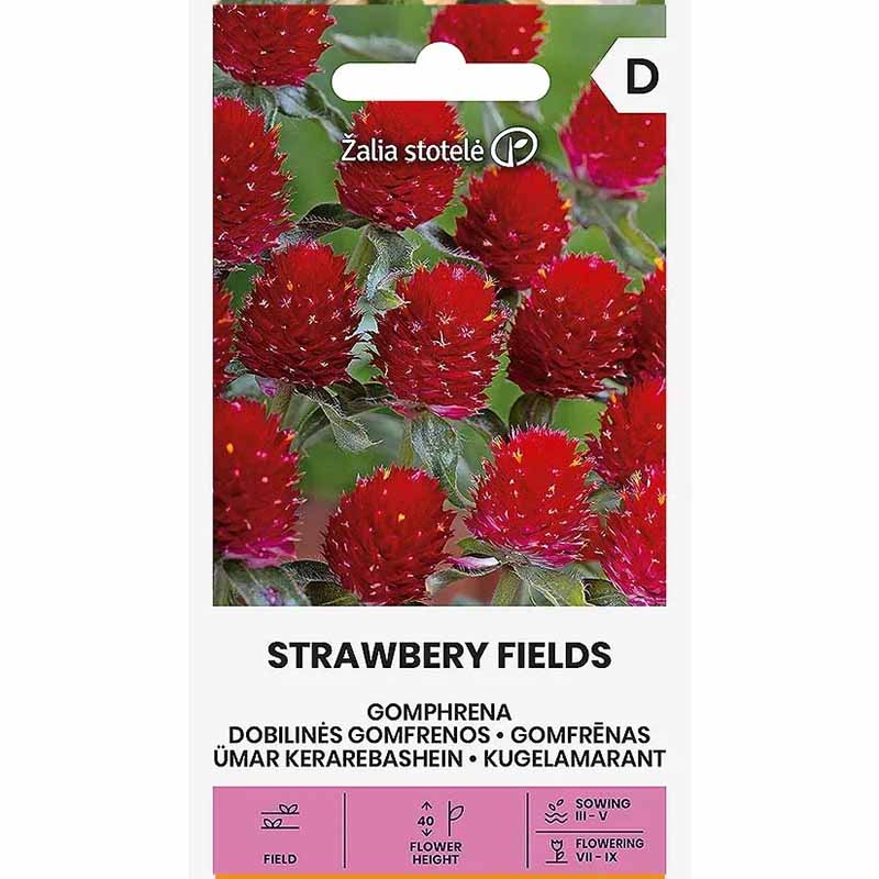 Roter Kugelamarant 'Strawberry Fields'