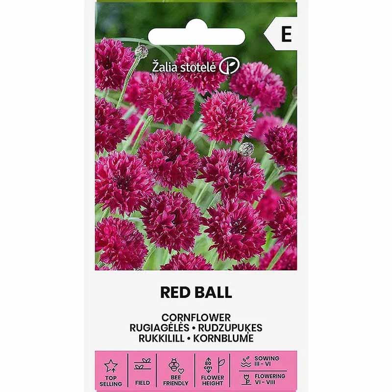 Kornblume 'Red ball'