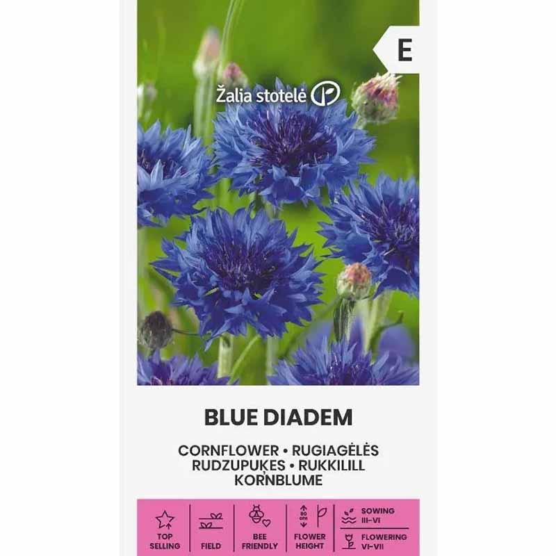Kornblume 'Blue diadem'