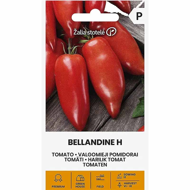 Tomate 'Belandine' H